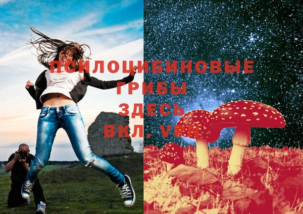 метадон Абинск
